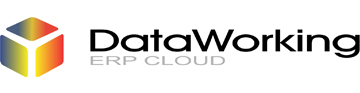 Logo Dataworking